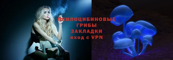 mdpv Белокуриха