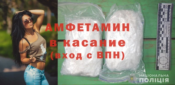 мдпв Каменка