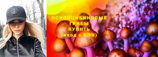 амф Белоозёрский