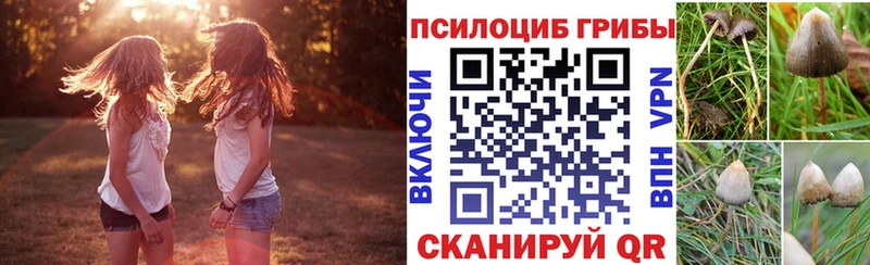сколько стоит  Сланцы  omg   Галлюциногенные грибы ЛСД 