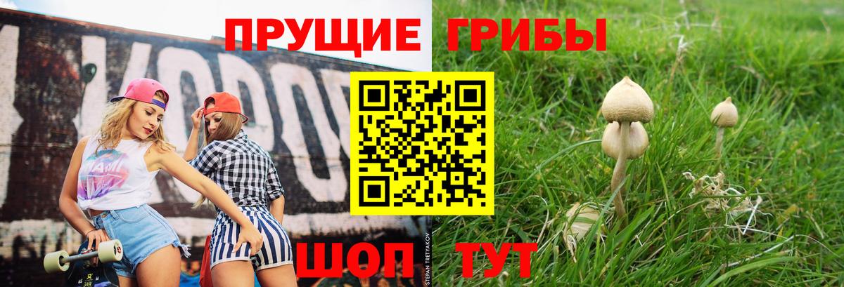 Псилоцибиновые грибы ЛСД Сланцы